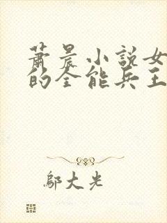 萧晨小说女总裁的全能兵王