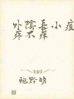 外阴长小痘痘不疼不痒