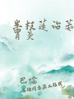 半枝莲治萎缩性胃炎