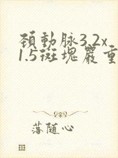 颈动脉3.2x1.5斑块严重吗