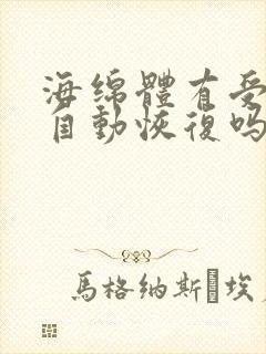 海绵体有受损会自动恢复吗