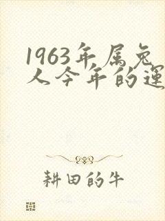 1963年属兔人今年的运势