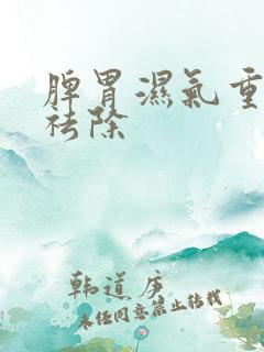 脾胃湿气重怎样祛除