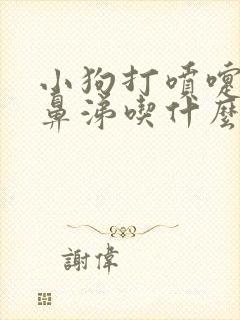 小狗打喷嚏流黄鼻涕吃什么药