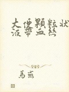 大便颗粒状有粘液带血丝