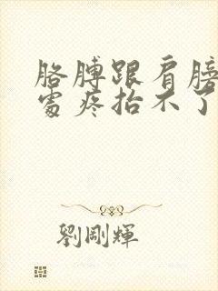 胳膊跟肩膀连接处疼抬不了