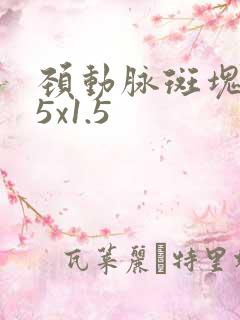 颈动脉斑块6.5x1.5