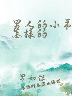 男人的小弟弟是怎样的