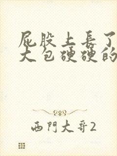 屁股上长了一个大包硬硬的坐着疼用什么药