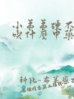 小弟弟硬不起来吃什么中药