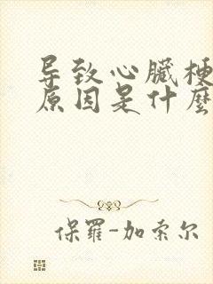 导致心脏梗塞的原因是什么