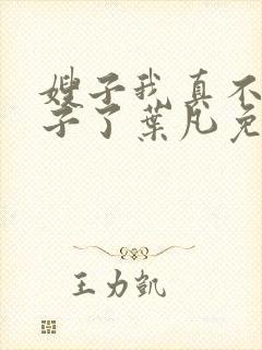 嫂子我真不是傻子了叶凡免费全本小说