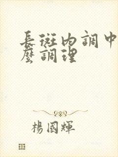 长斑内调中医怎么调理