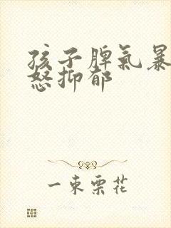 孩子脾气暴躁易怒抑郁