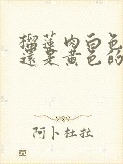 榴莲肉白色的好还是黄色的好