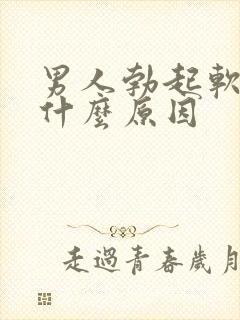 男人勃起软的快什么原因