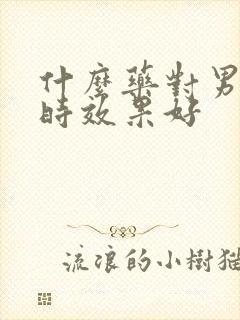 什么药对男性延时效果好