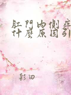 肛门内侧疼痛是什么原因引起的