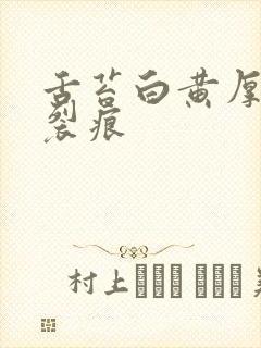 舌苔白黄厚腻有裂痕