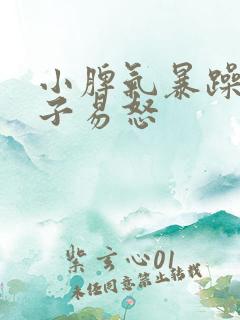 小脾气暴躁的孩子易怒