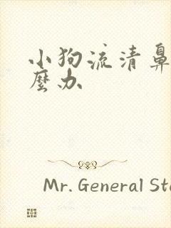 小狗流清鼻涕怎么办