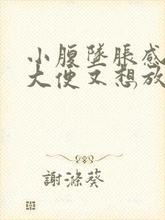 小腹坠胀感觉想大便又想放屁