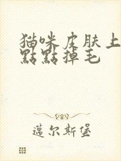 猫咪皮肤上有黑点点掉毛