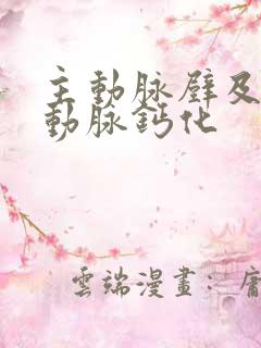 主动脉壁及冠状动脉钙化