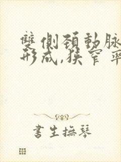 双侧颈动脉斑块形成,狭窄率<50%