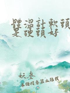 体温计软头好还是硬头好