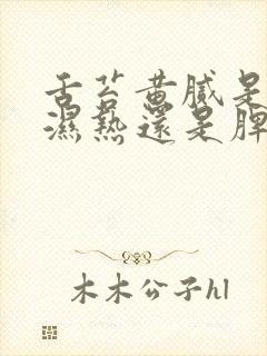 舌苔黄腻是肝胆湿热还是脾胃湿热