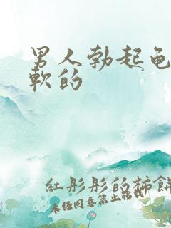 男人勃起龟头是软的