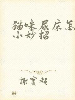 猫咪尿床怎么办小妙招