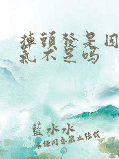 掉头发是因为肾气不足吗