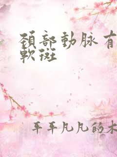 颈部动脉有斑块软斑