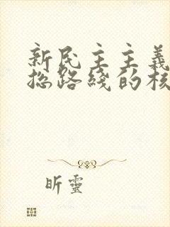 新民主主义革命总路线的核心是: