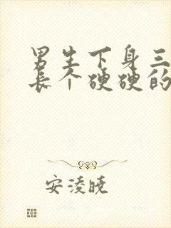 男生下身三角区长个硬硬的疙瘩