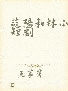 苏阳和林小姐的短剧