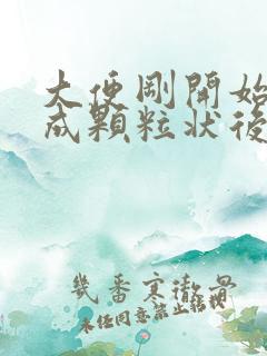 大便刚开始干结成颗粒状后面正常