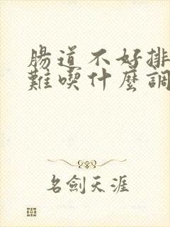 肠道不好排便困难吃什么调理