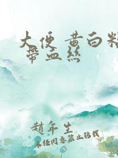 大便 黄白粘液 带血丝