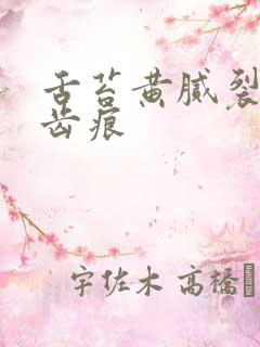 舌苔黄腻裂纹有齿痕