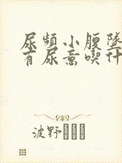 尿频小腹坠胀总有尿意吃什么药