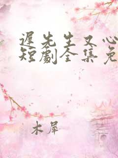 迟先生又心动了短剧全集免费观看