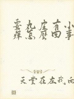 睾丸皮有小肉揪痒怎么回事