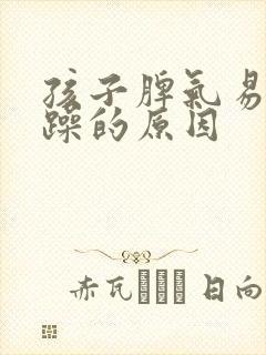 孩子脾气易怒暴躁的原因