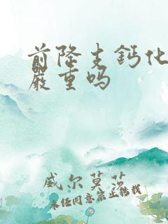 前降支钙化斑块严重吗