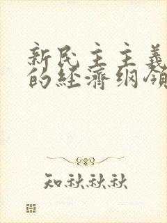 新民主主义革命的经济纲领是()