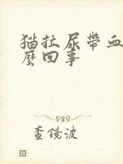 猫拉尿带血是怎么回事