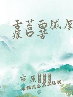 舌苔白腻厚有齿痕口苦